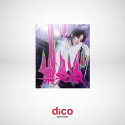 STRAY KIDS - 樂-STAR (POSTCARD VER.)
