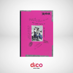 STRAY KIDS - 樂-STAR