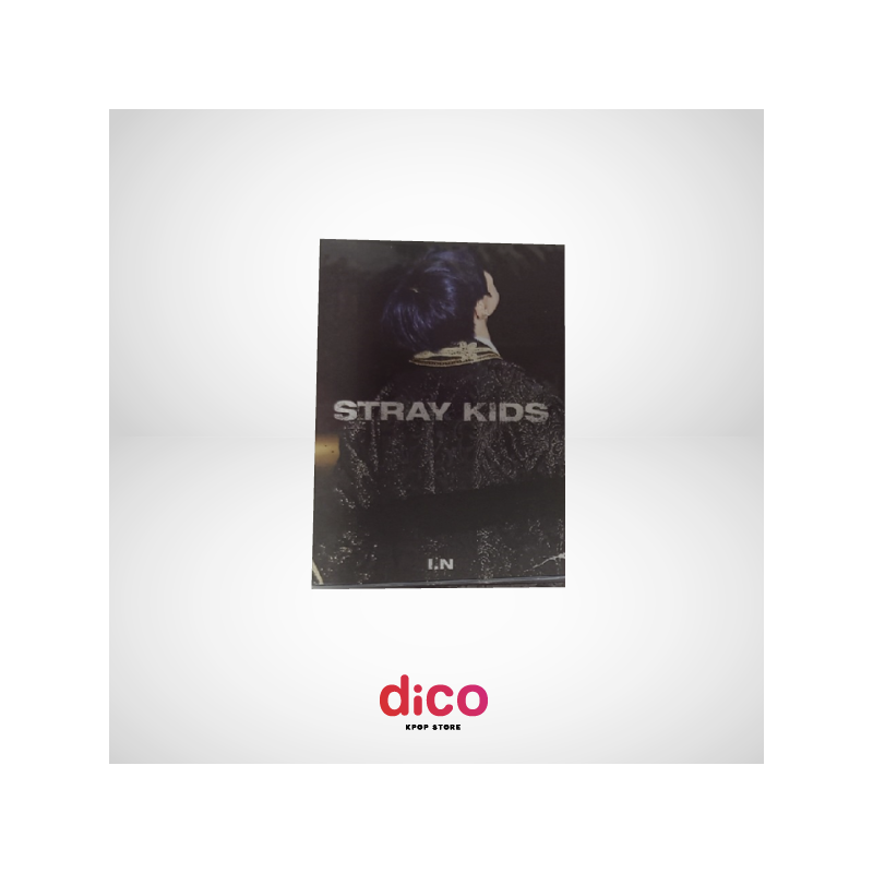 STRAY KIDS - IN LIFE (MINI PHOTOBOOK) STRAY KIDS - IN LIFE (MINI PHOTOBOOK)