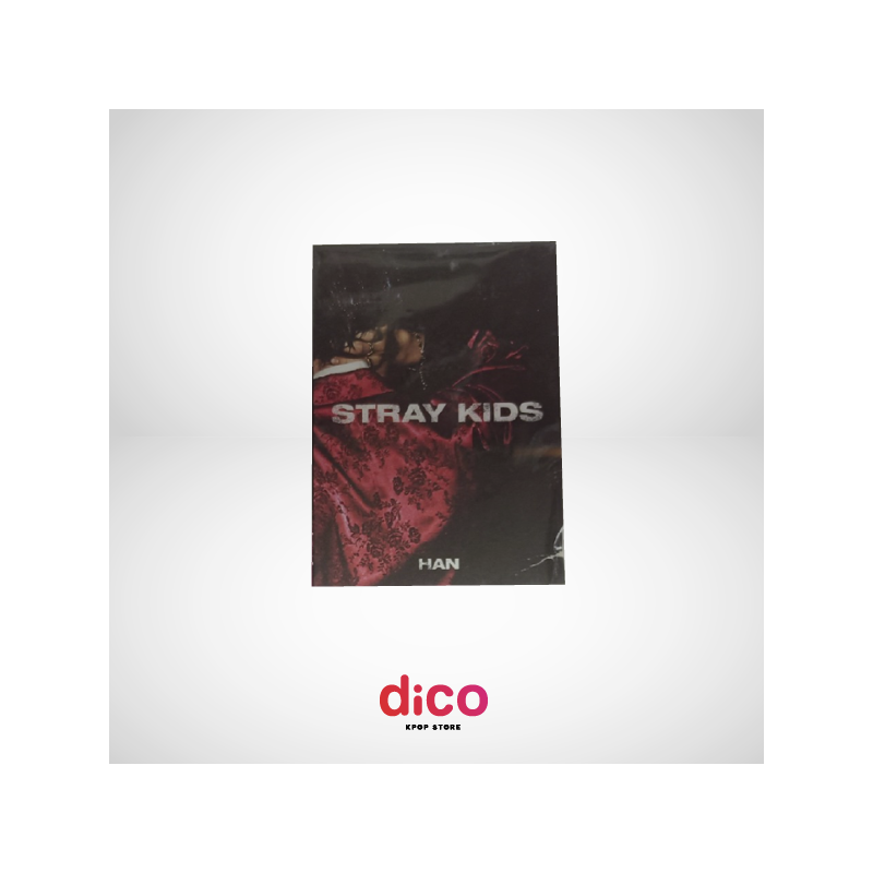 STRAY KIDS - IN LIFE (MINI PHOTOBOOK)