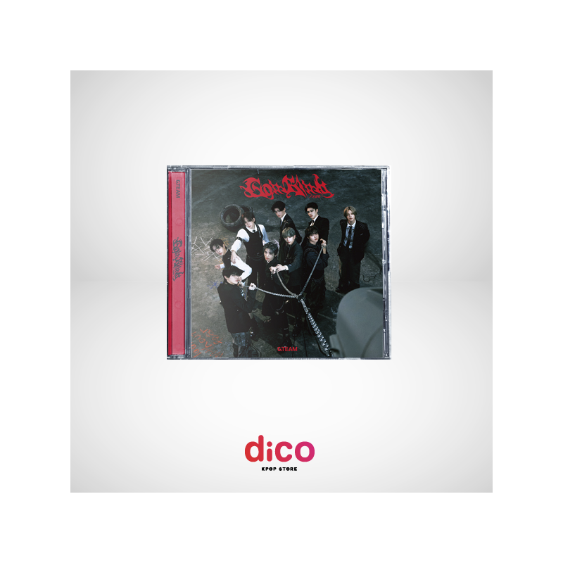 [PREVENTA LIMITADA] &TEAM - Go in Blind (STANDARD EDITION)