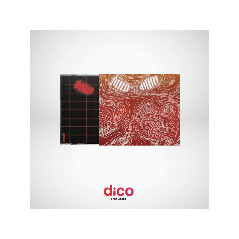 [PREVENTA] HONG DABIN - senseS
