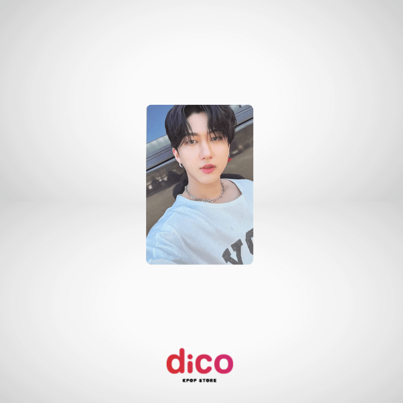 STRAY KIDS - PHOTOCARD MAXIDENT STRAY KIDS - PHOTOCARD MAXIDENT