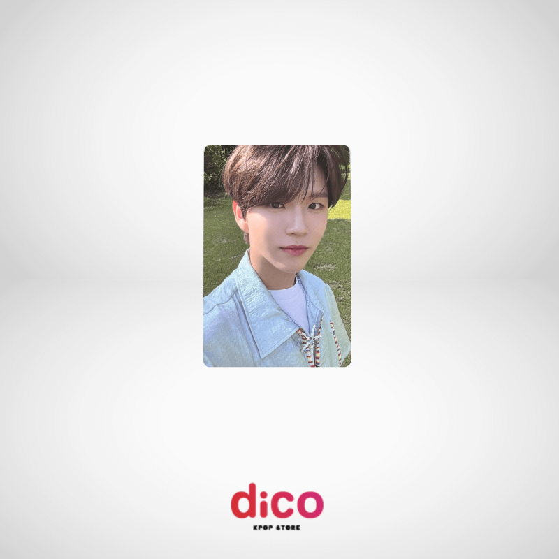 NCT WISH - PHOTOCARD SONGBIRD (JAEHEE) NCT WISH - PHOTOCARD SONGBIRD (JAEHEE)