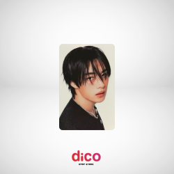 STRAY KIDS - PHOTOCARD...