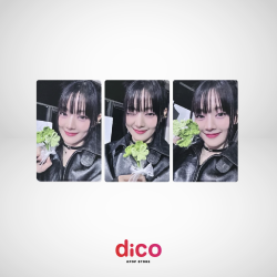 MINNIE - PHOTOCARD HER (POB...