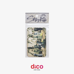 STRAY KIDS - Set photocards...