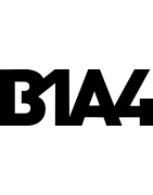 B1A4