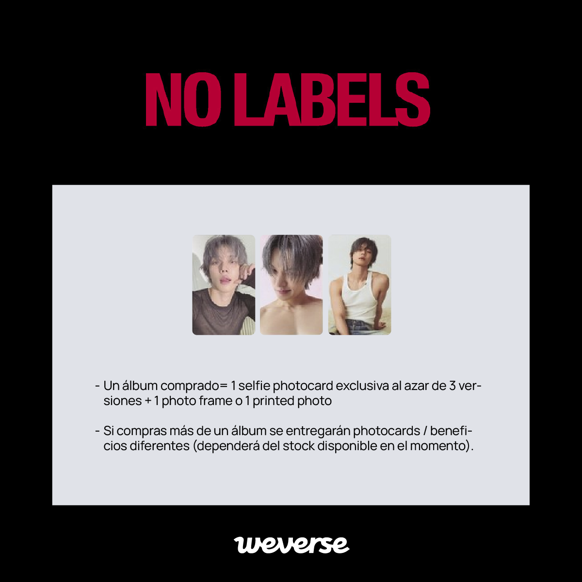NO%20LABELS_01_1.png